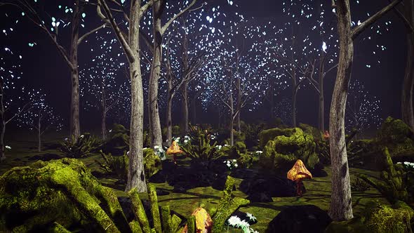 Magic Night Forest