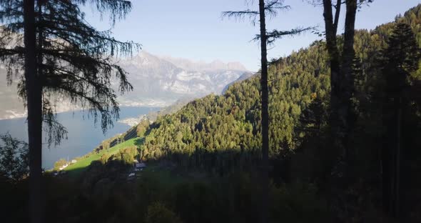 Cameraes through trees to reveal a beautiful mountain and forest panorama. alt