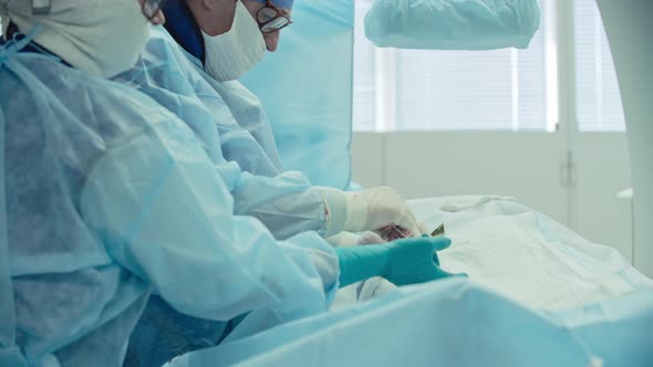 Coronary Artery Bypass Graft alt