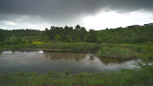 Small Lake in the Rain alt