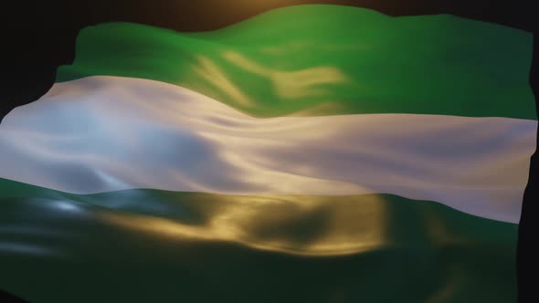 Nigeria Flag Low Angle View