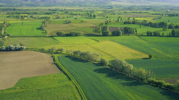 Agricultural Aerial View alt
