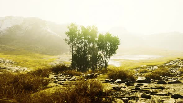 Beautiful Rocks with Few Trees at the Daylight in Nepal alt