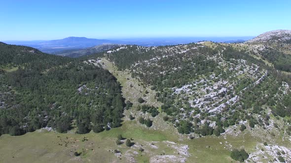 Flying above thick forest of Dinara mountain with grass plains in between alt