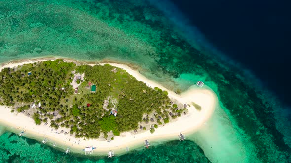 Palm Trees and Turquoise Water on a Tropical Island Top View alt