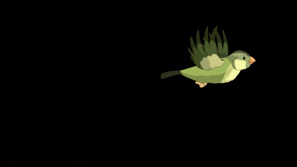 Green wood warber bird takes off and flies alpha matte HD