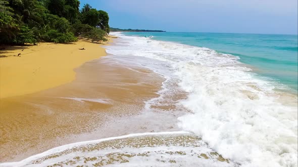 Caribbean Golden Unspoiled Sandy Beach