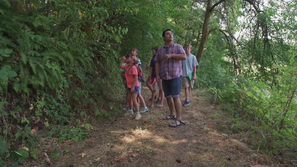 Kids at summer camp going on a nature hike