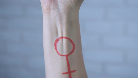Feminism Symbol alt