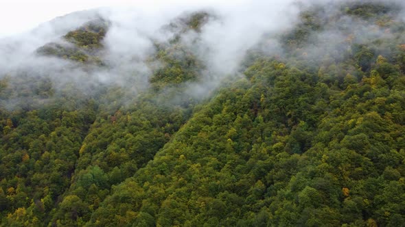 Misty Autumn Mountain Aerial View alt