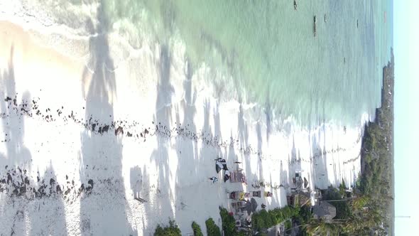 Vertical Video of the Coast of Zanzibar Island Tanzania Slow Motion alt