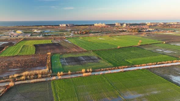 Sunrise Farm Field Texture alt