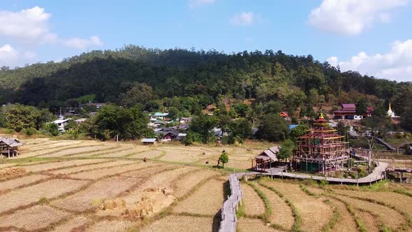 Aerial Of Rice Paddies in A Tropical Valley 8 alt