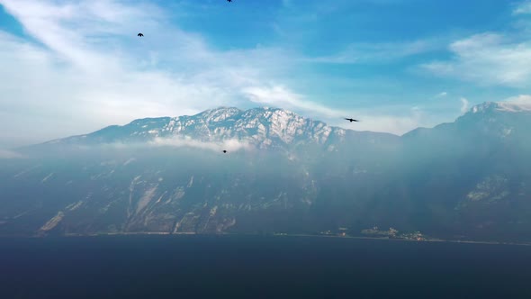 View of birds flying toward camera of flying drone