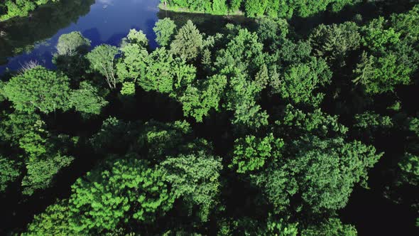 Clear Turquoise Water of Pond Surrounded By Trees and Plants alt