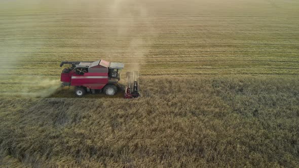 The Combine Harvester Works on Dusty Farmland alt