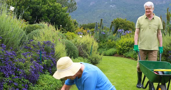Senior couple gardening together alt