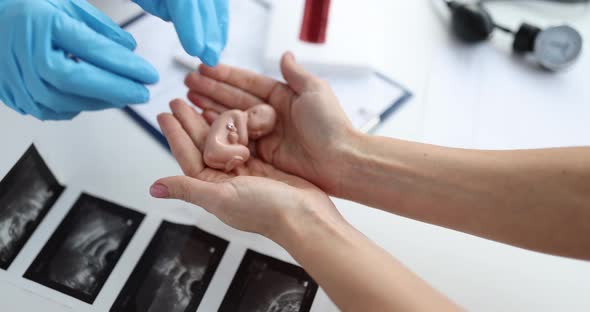 Gynecologist Passes Anatomy of Fetus to Woman Closeup alt