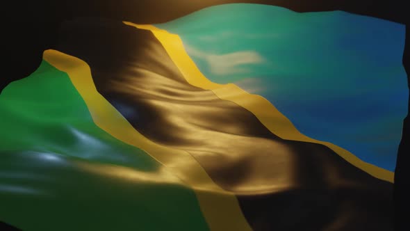 Tanzania Flag Low Angle View