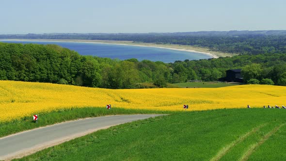 Aerial Footage Of Sports Cyclists Biking In The Countryside, Drone Stock Footage By Drone Rune alt
