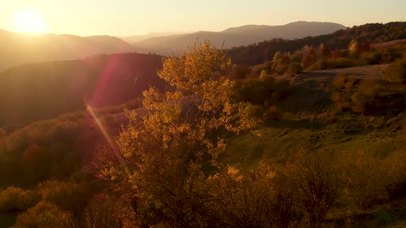 Aerial View of Autumn Mountain Valley Illuminated by Soft Sunlight