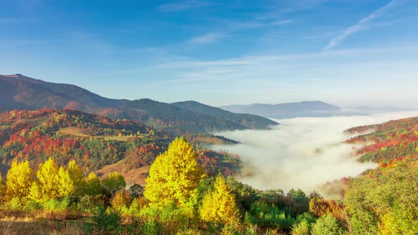 Morning Mist Over the Valley Among the Mountains in the Sunlight. Fog and Beautiful Nature  alt