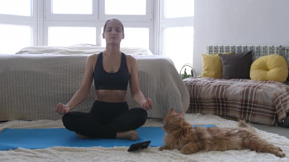 Young Woman Blogger Shoots Video Doing Yoga Exercise with Phone While Maine Coon Cat is Sitting Side