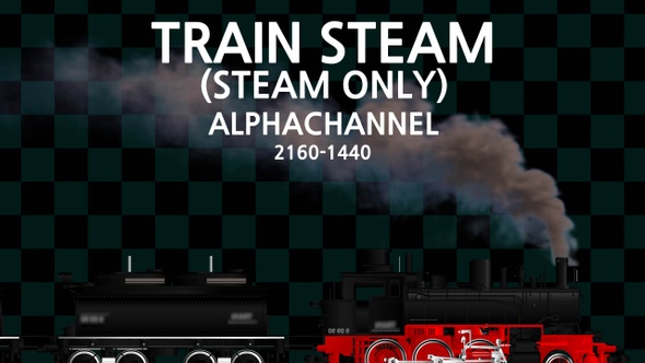 Train Steam Alpha
