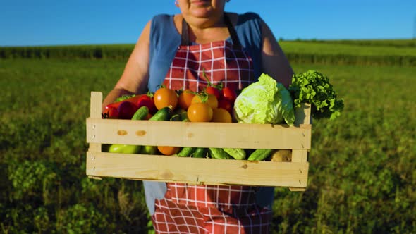Farmer with a Vegetable Box alt