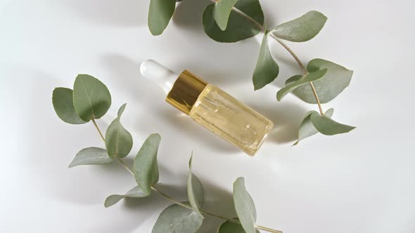 Eucalyptus Oil with Leaves on a White Background alt