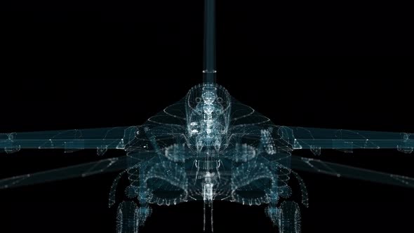Aircraft Hologram
