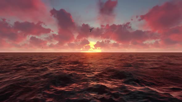 Sunset in the Ocean