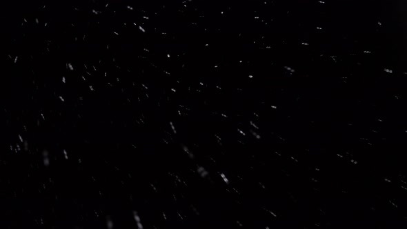 Falling Snowflakes on a Dark Background
