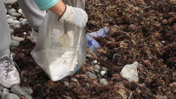 A woman wearing a glove collects plastic trash in a bag on the seashore alt