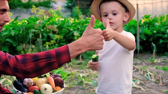 A Man is a Farmer and a Child Harvest of Vegetables in Hands alt