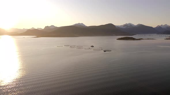 An Aquaculture Fish Farm in the Early Morning alt