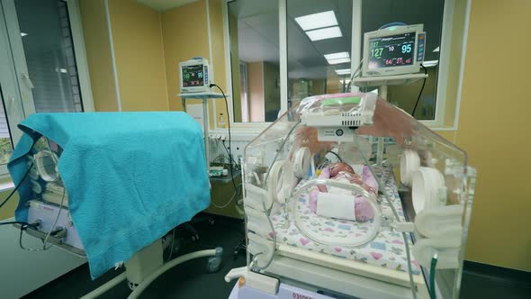 Medical Incubators with Infants and Necessary Equipment alt