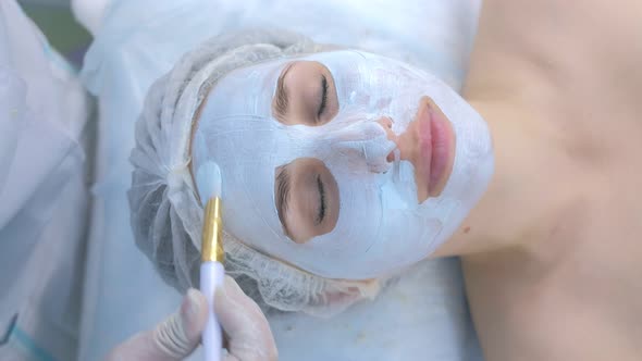 Beautician Applies Facial Moisturizing Mask on Woman Face Using Brush Top View