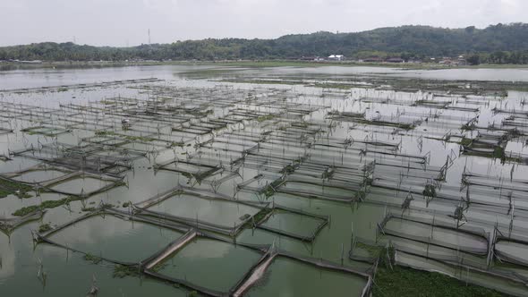 Aerial view of traditional floating fish pond on swamp in Indonesia alt