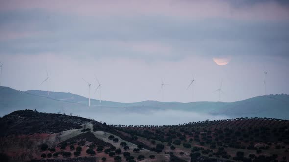Wind Turbines. Andalusia Spain