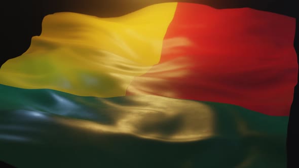 Benin Flag Low Angle View