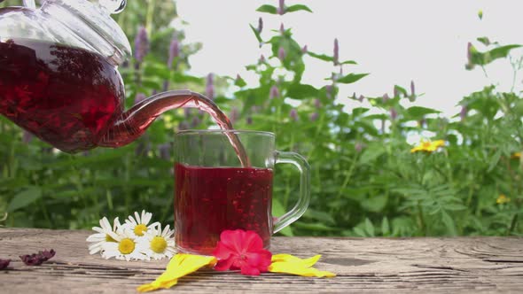 Tea in Nature. Slow Motion 2x.