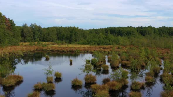 Small swamp ponds in the Czech countryside alt
