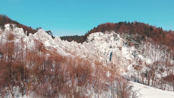 Closeup View of Trees in the Wawoz Bolechowicki or Bolechowice Valley  Winter Season alt