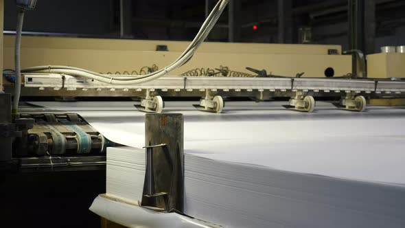 Conveyor Line for Production Plastic Sheets for Furniture alt