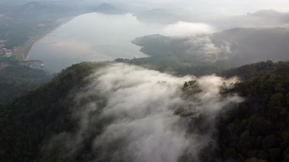 Aerial view low fog cloud over rainforest alt
