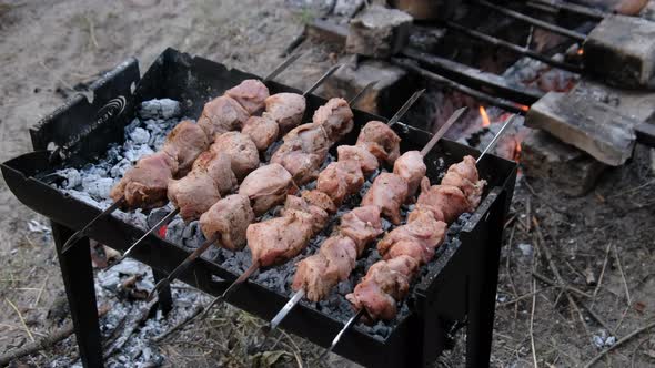 Kebabs on Skewers are Cooked on the Grill Outdoor Shashlik on a Barbecue alt
