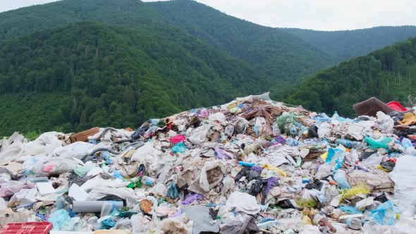 Plastic Waste in the Ukrainian Carpathians alt