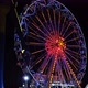 Colorful illuminated Ferris wheel, fun toys and adrenaline filled instruments in luna park. - VideoHive Item for Sale