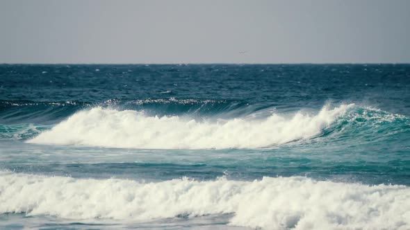 Big blue wave splash near the beach in the ocean - summer vibes and vacation concept alt